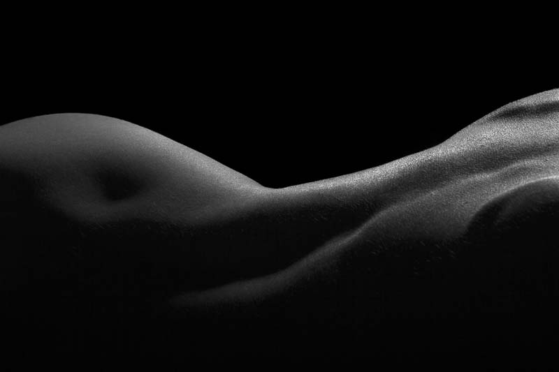 The Twist, A black and white image which moves mid way across the middle of the image, The body part has a twist with part o it toward and part of it away from the viewer.